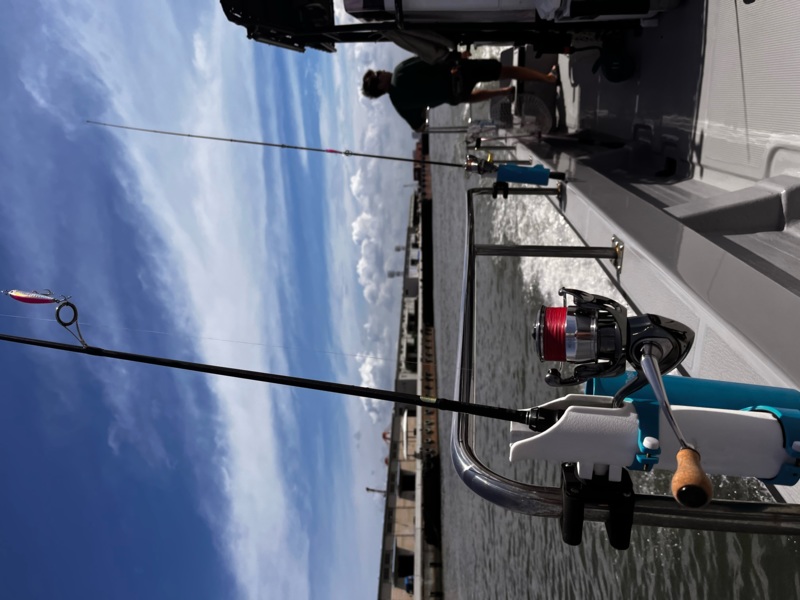 大阪湾でルアーソルトのチヌ釣果