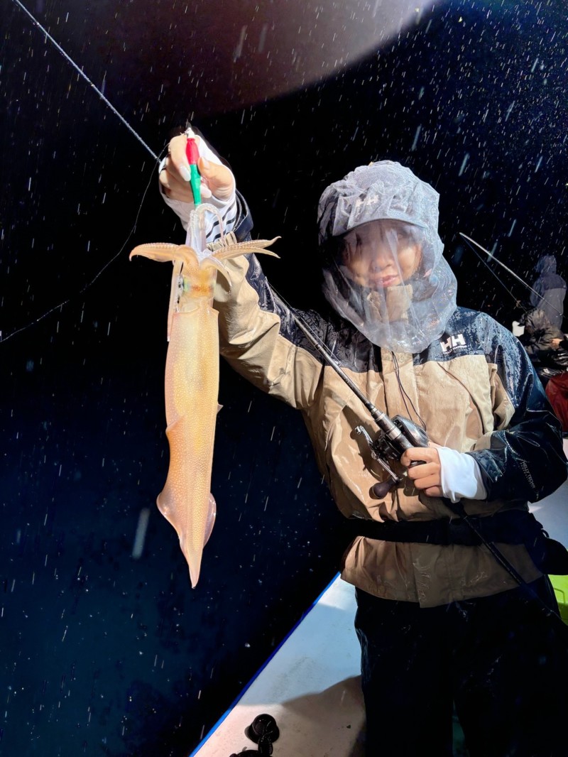浅茂川漁港からの船釣りで白イカ釣果