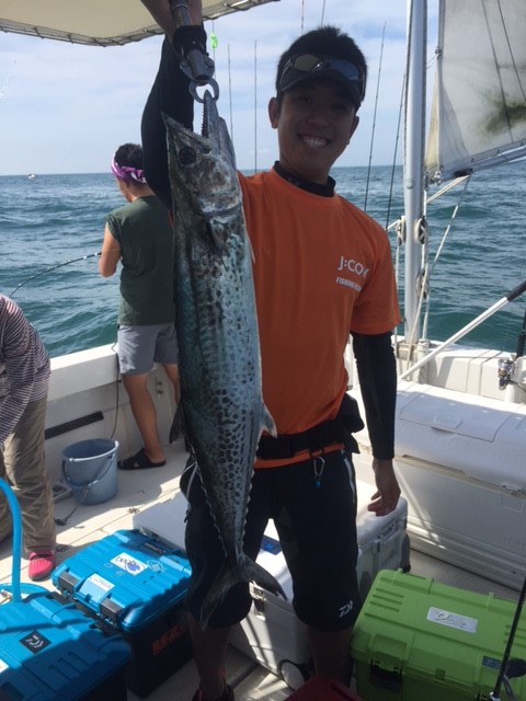 【兵庫県】ジギング・ハマチ2匹、サワラ3匹、タチウオ釣果