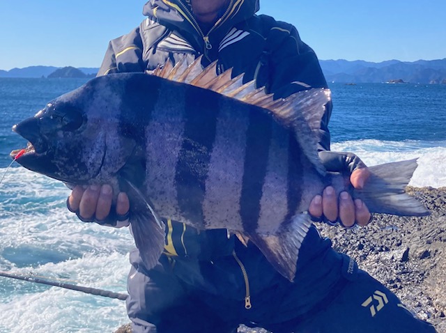 爆風北西風の石鯛釣行