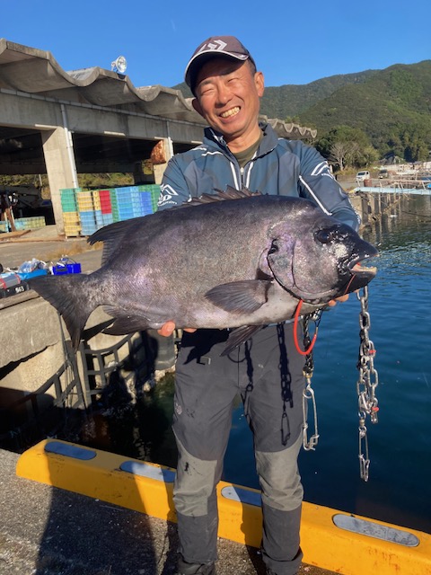 12月も高水温で石鯛ねらい目!