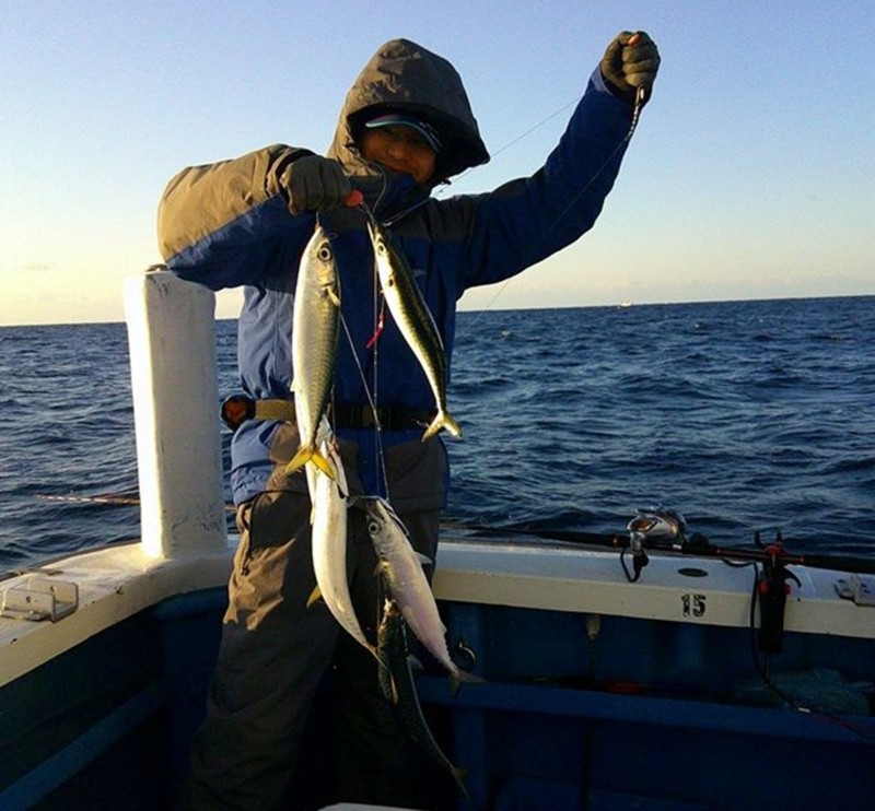 和歌山県ラングイ寒サバ釣り。