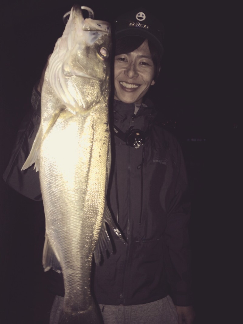 「大阪市内河川」ソルトルアー・シーバス釣果