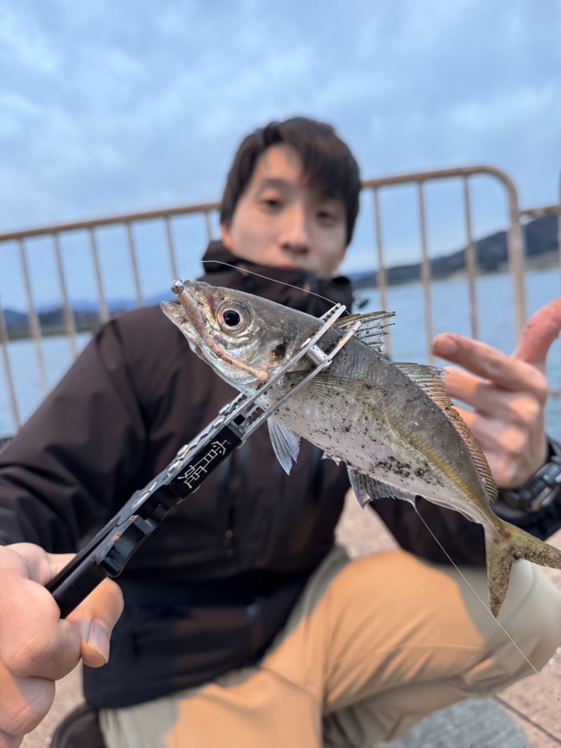 日本海ライトゲーム調査