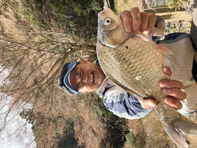 大杉ダムでヘラブナ満喫!