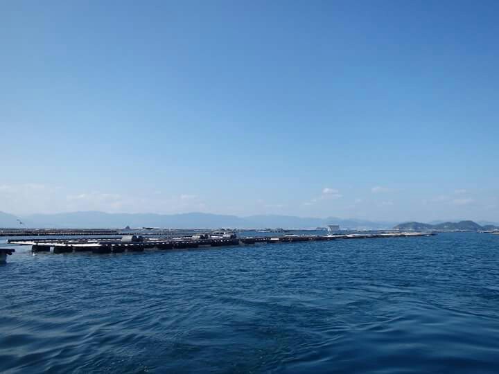 【広島県江田島市】 かかり釣り・チヌ9匹釣果