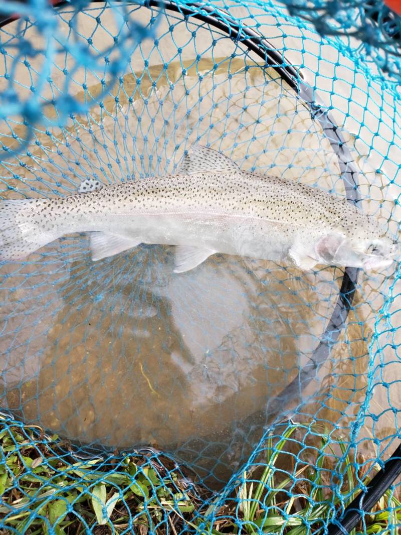 ガリバーフィッシングガーデン釣行