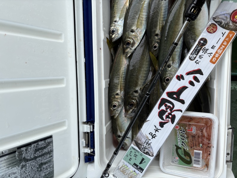 泉州 鬼アジ実釣会