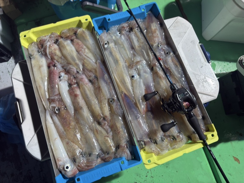日本海イカメタル最盛期です!