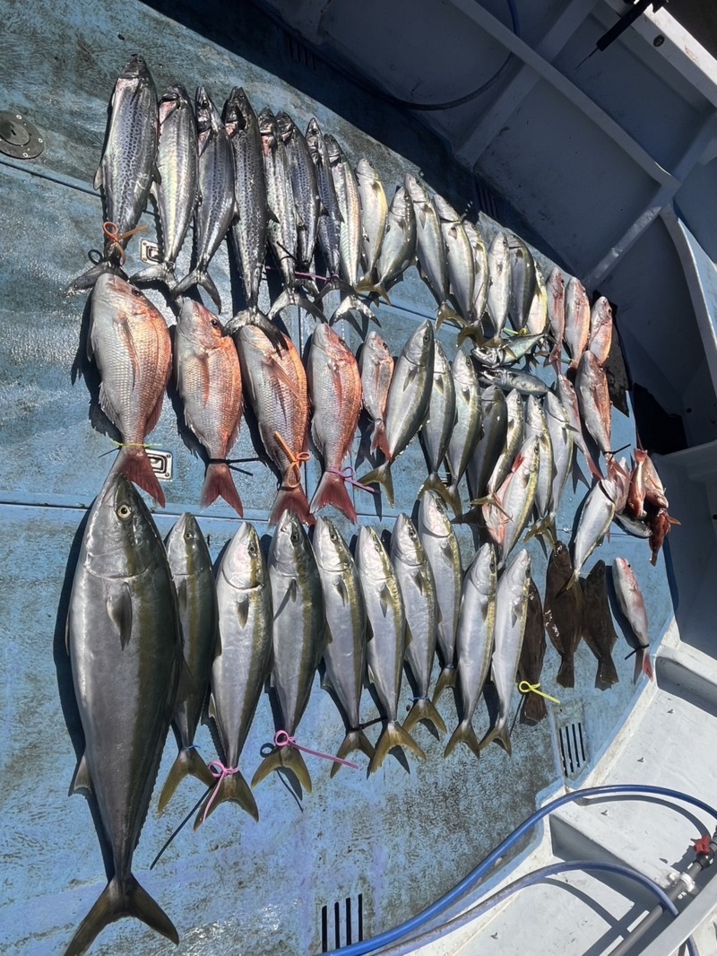 落とし込み(アンダーベイト)釣行