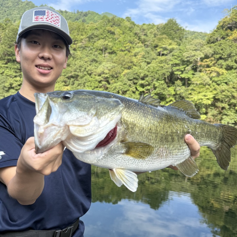 ～夏のゴンザレス捕獲劇～