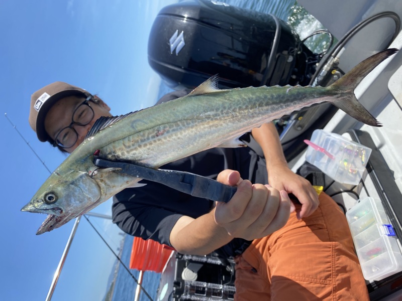 大阪湾ボートからのブレードジギングでサワラ釣果