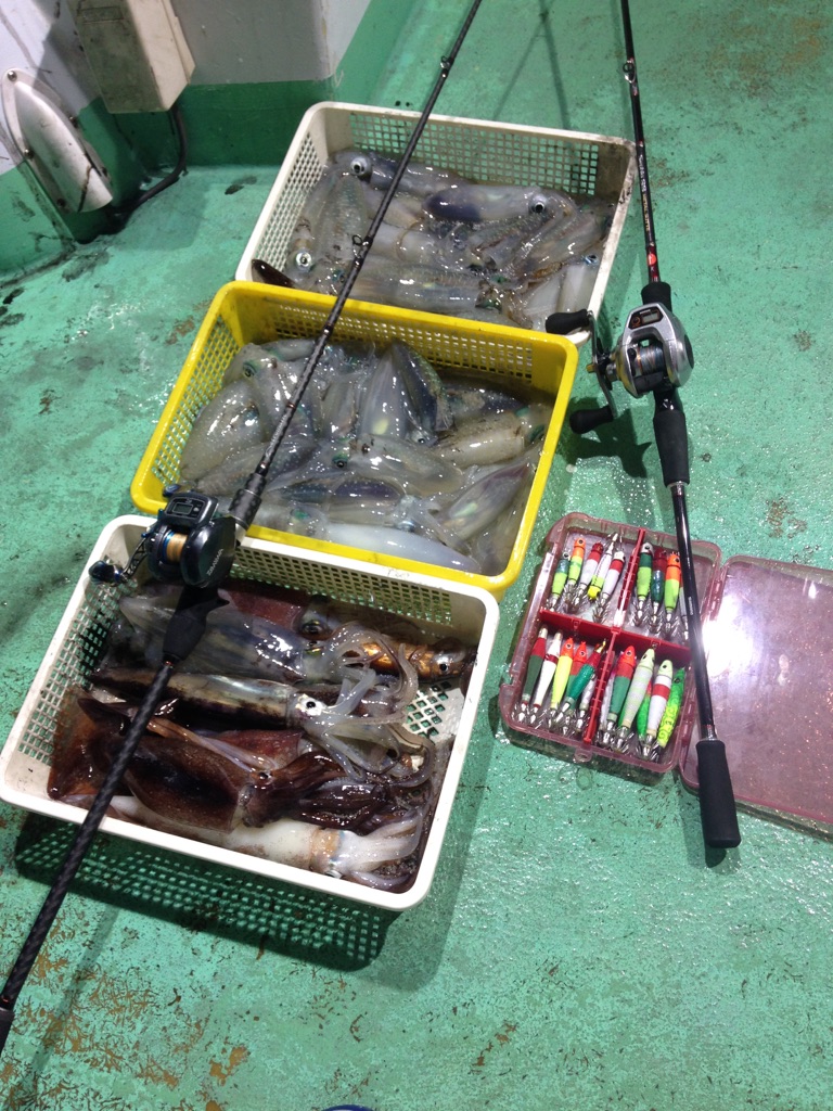 【鳥取港】イカメタル・エギング|剣先・スルメ・アオリイカ