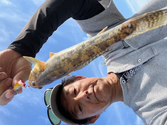 福井県久々子湖の岸からルアーでハゼ釣果