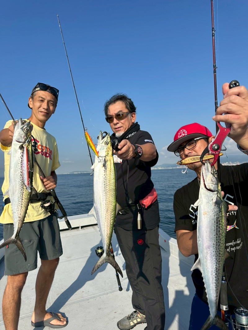 大阪湾沖の船からキャスティングでサゴシ釣果