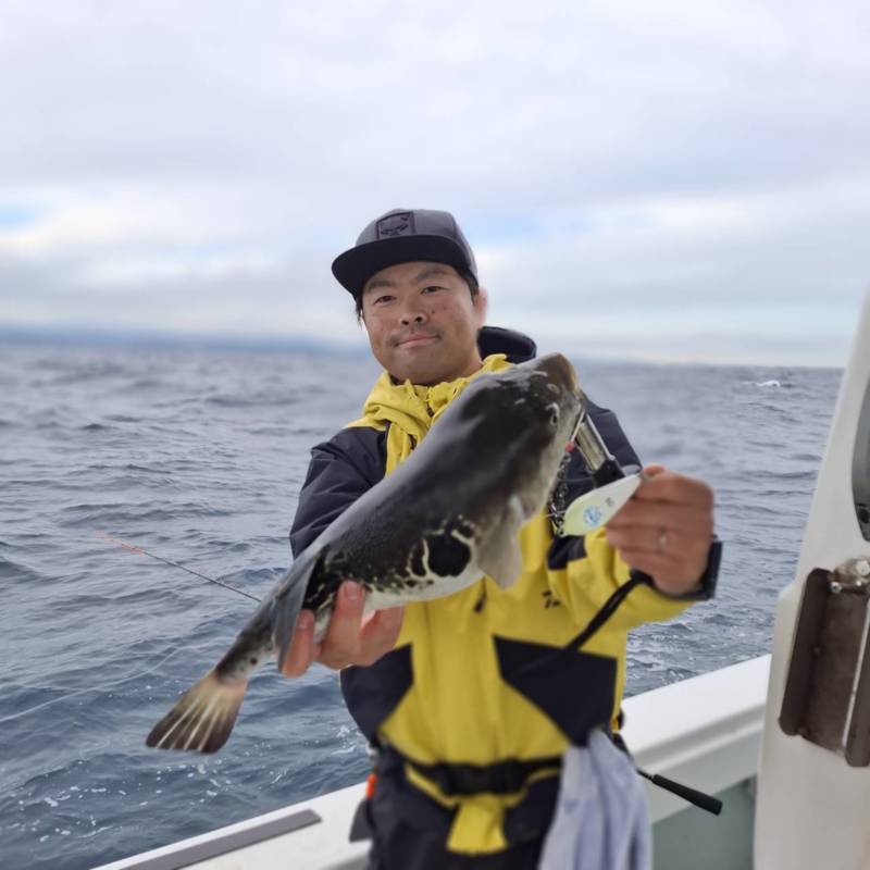 三重県鳥羽市相差の『魚勘丸』さんでトラフグ釣果
