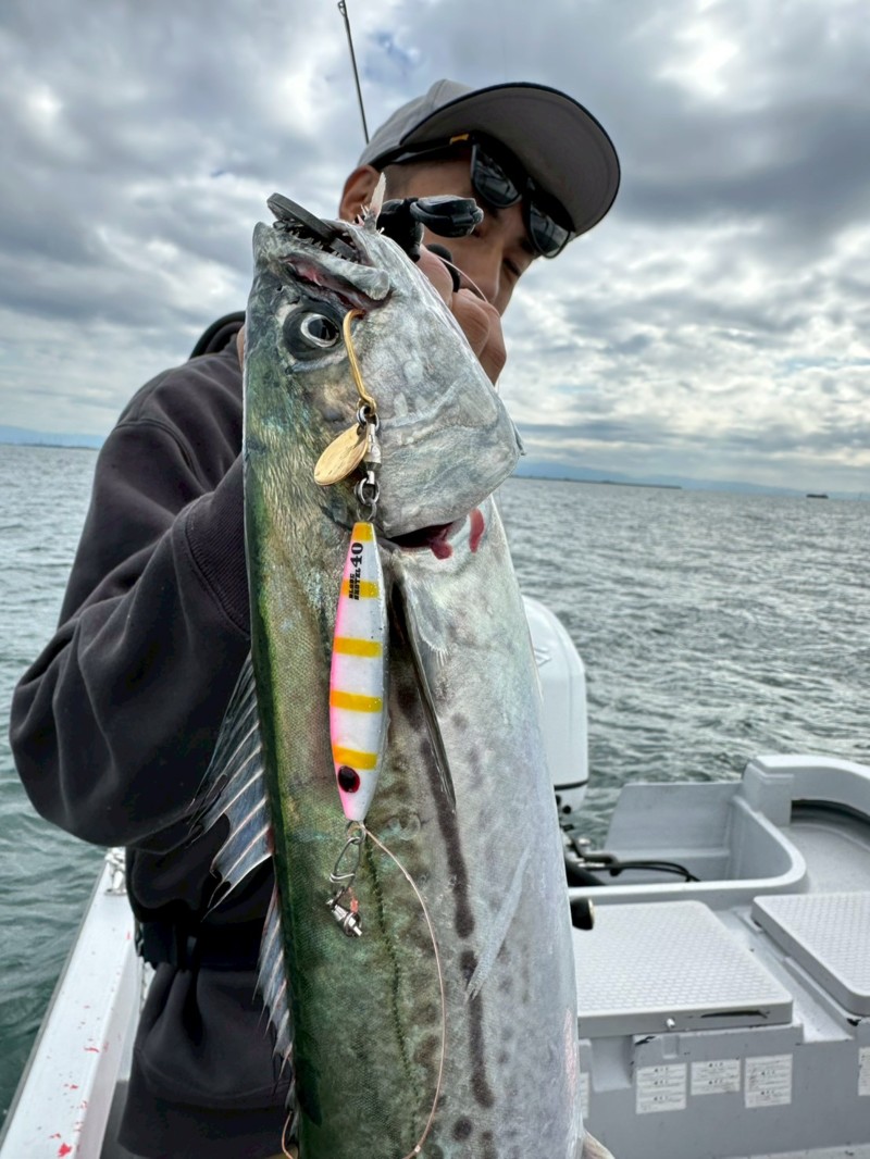 大阪湾で船からのキャスティングでサワラ釣果