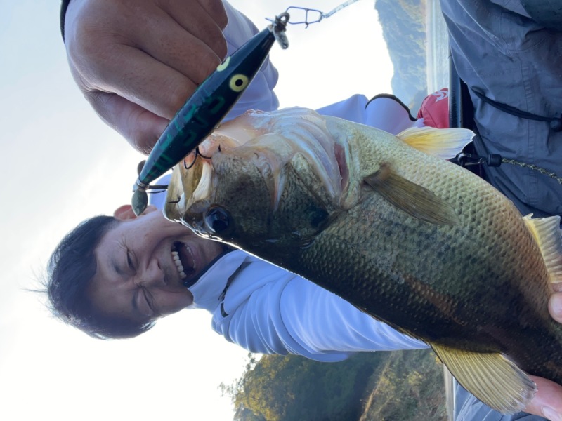 奈良県高山ダムで船からのルアーでバス釣果