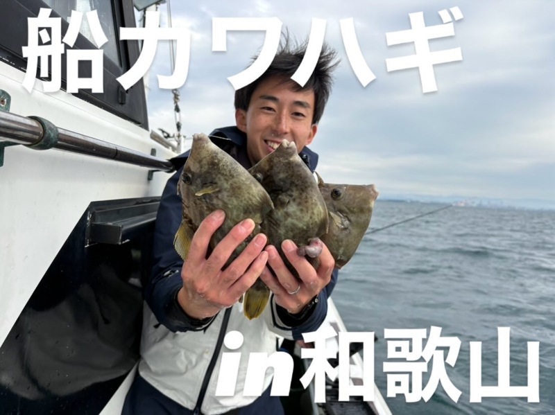 和歌山県沖の船釣りでカワハギ釣果