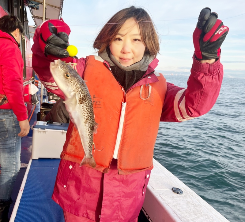 兵庫県明石沖のカットウ仕掛けでショウサイフグ釣果