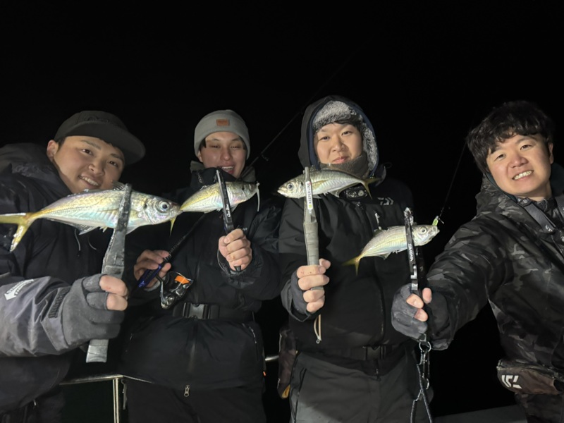 兵庫県神戸沖のボートアジングのアジ釣果
