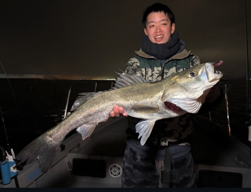 大阪湾沖ルアー船「Chase」のシーバス釣果