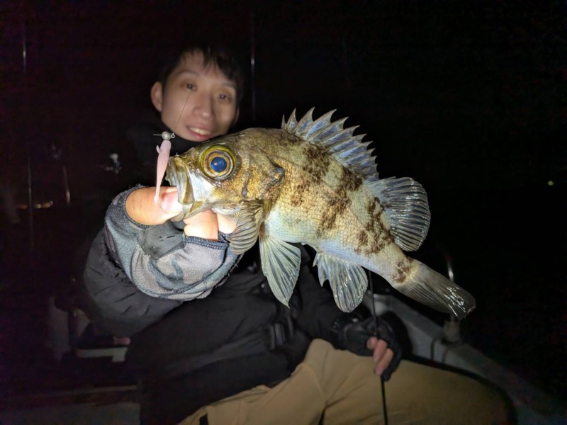 大阪湾遊漁船「TURUTWO-SEAM」でメバル釣果