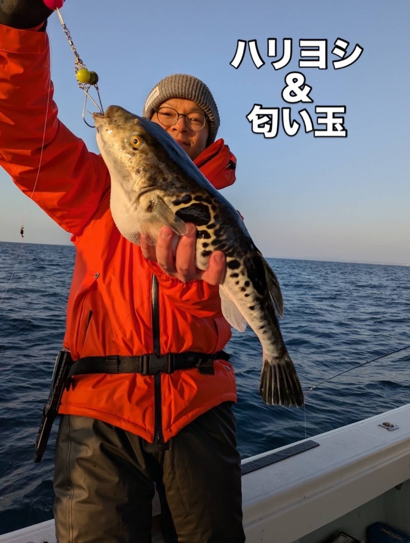 三重県「魚勘丸」でトラフグ釣り