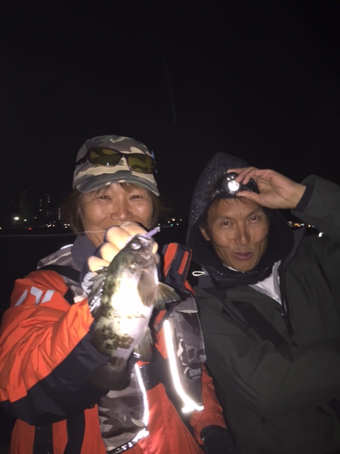 わいわい調査隊結果報告