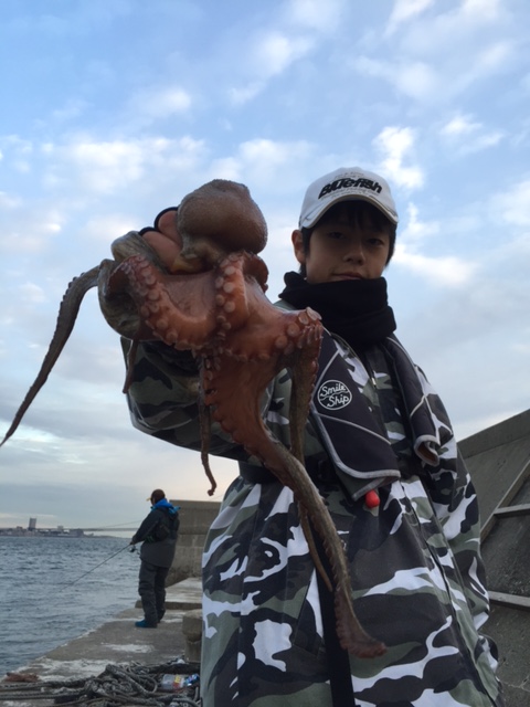 わいわい調査隊結果報告