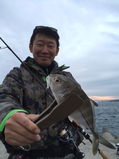 わいわい調査隊結果報告