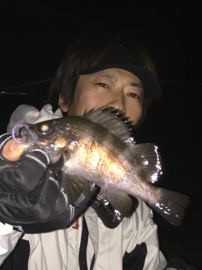 わいわい調査隊結果報告