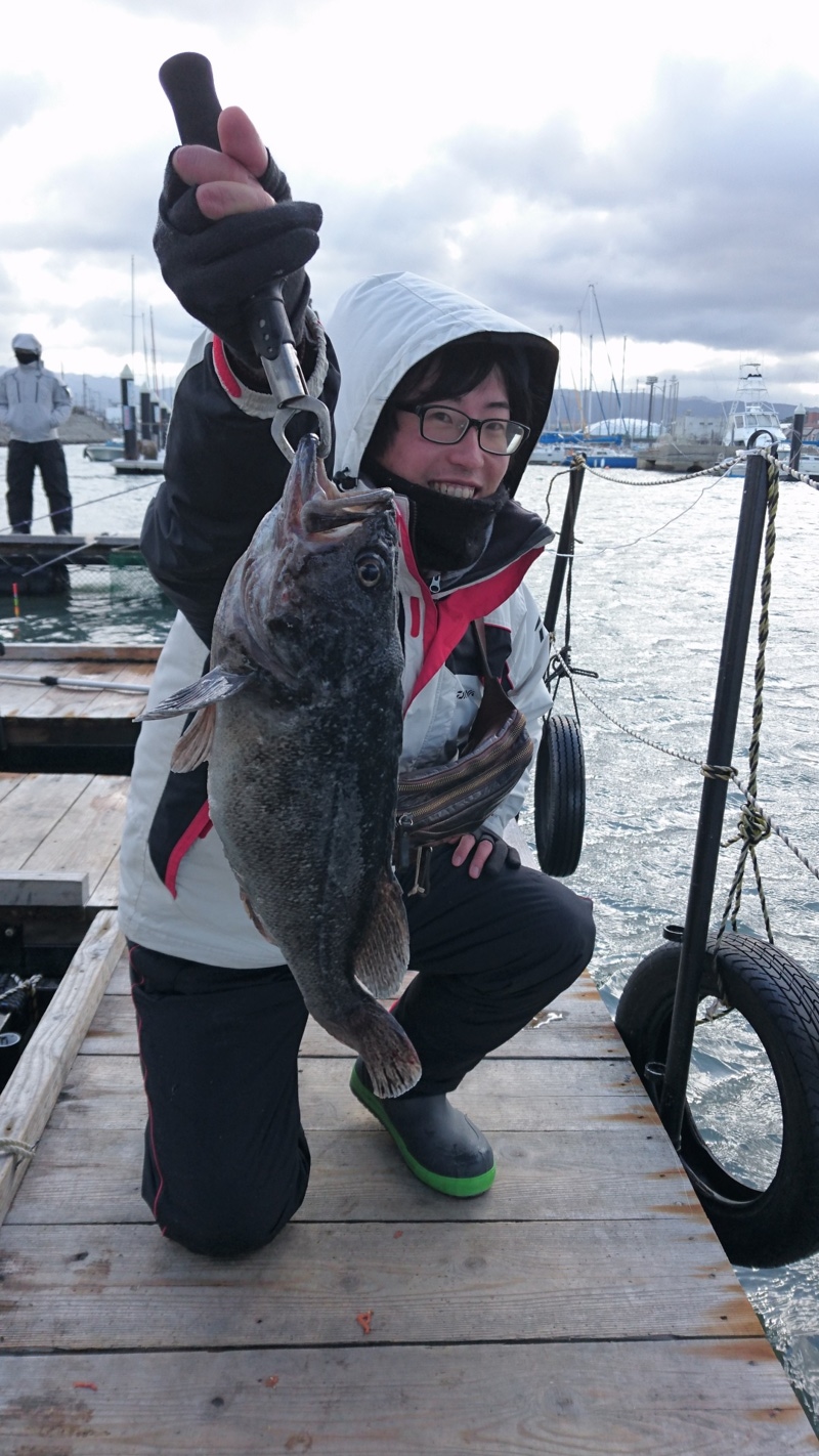 悪天候でも行ける海上釣掘り