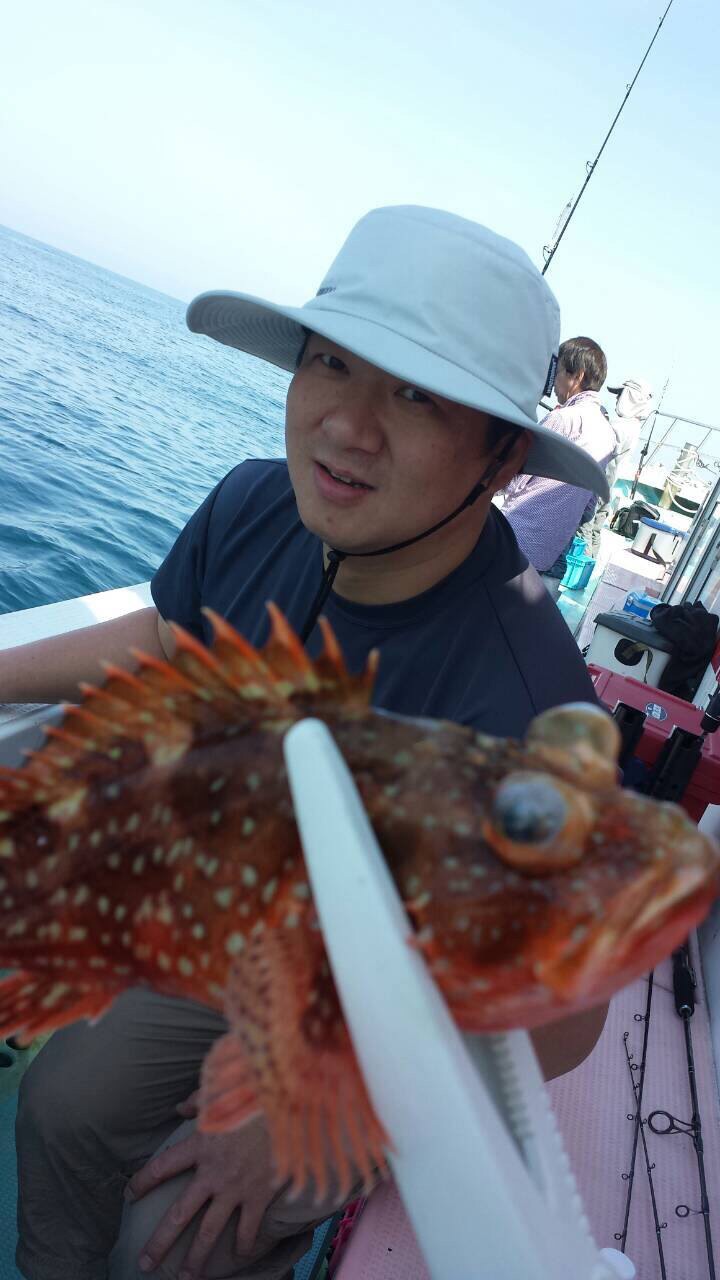 【京都 日本海】アコウ(キジハタ)、ガシラ、オコゼ釣果